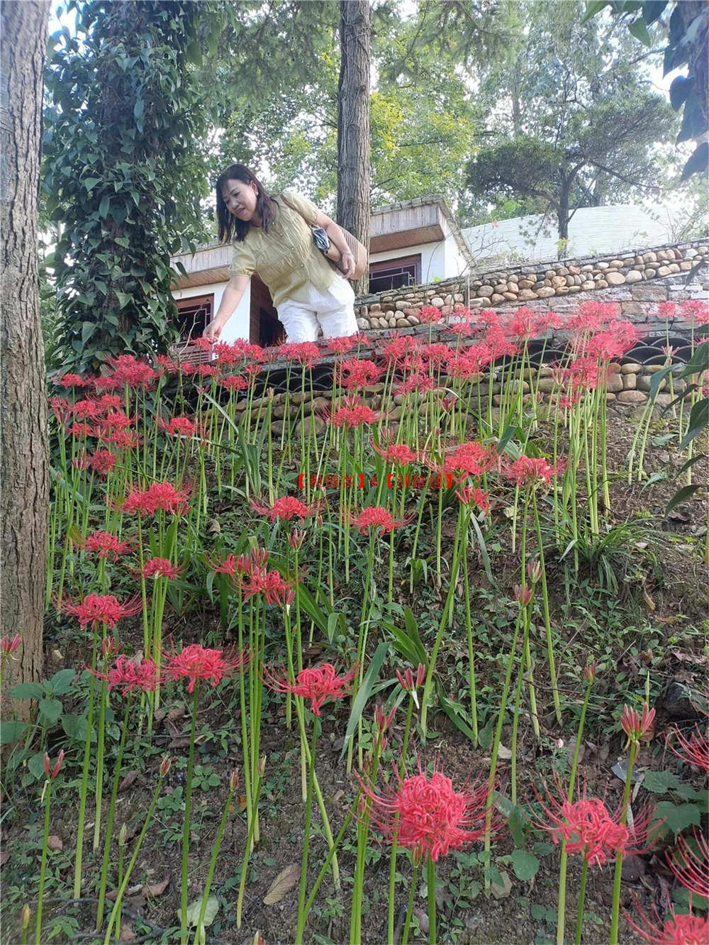 乌当区偏坡乡房东直租山庄 1200平方